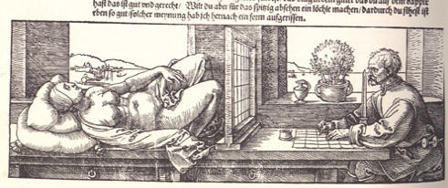 Image result for durer perspective