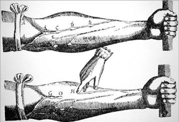 Image result for william harvey